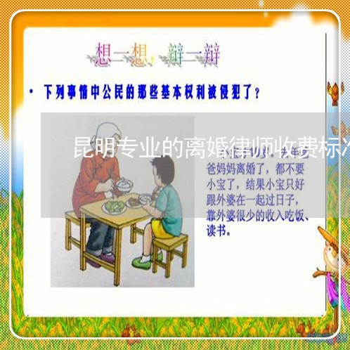 昆明专业的离婚律师收费标准