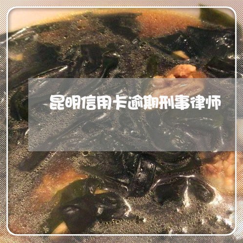 昆明信用卡逾期刑事律师/2023041085027