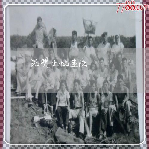昆明土地违法 昆明土地违法