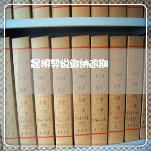 昆明契税缴纳逾期