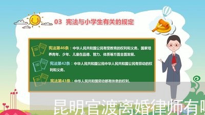 昆明官渡离婚律师有哪些