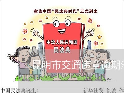 昆明市交通违章逾期滞纳金 昆明市交通违章逾期滞纳金