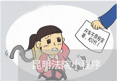昆明法院小程序 昆明法院小程序
