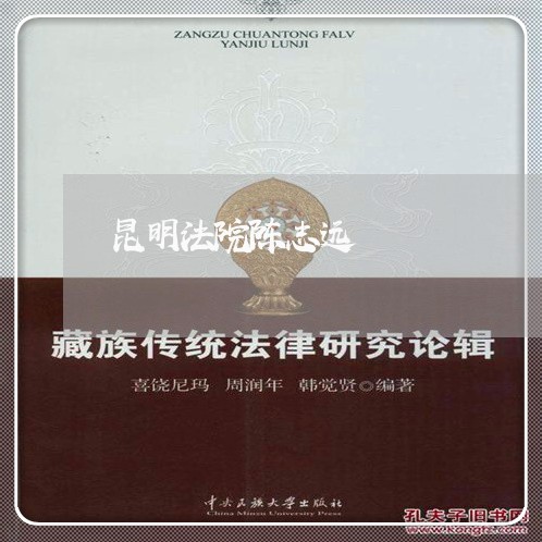 昆明法院陈志远
