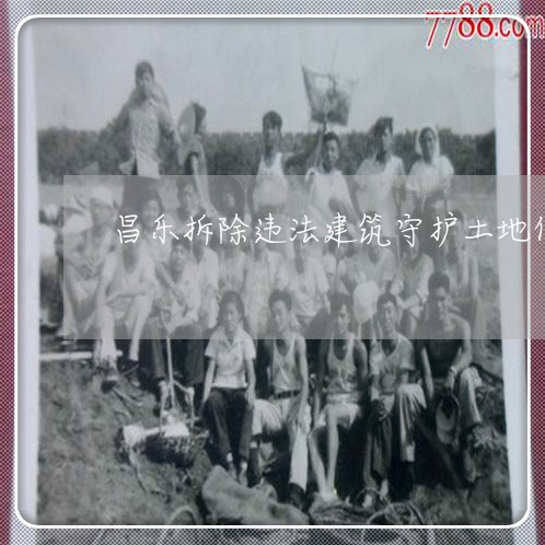 昌乐拆除违法建筑守护土地作文