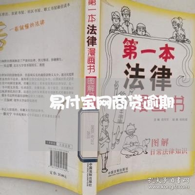 易付宝网商贷逾期/2023061897372