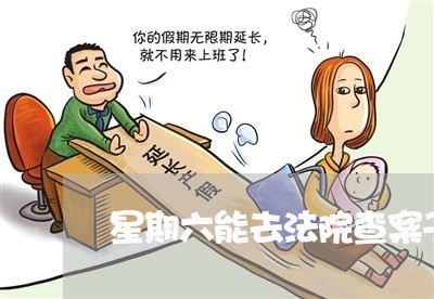 星期六能去法院查案子吗 星期六能去法院查案子吗