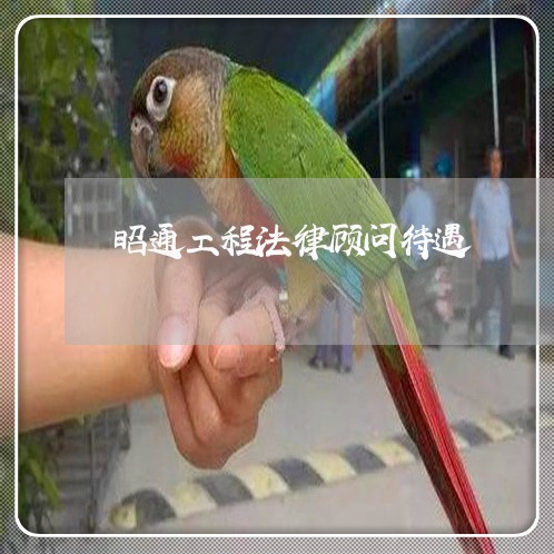 昭通工程法律顾问待遇/2023061774616