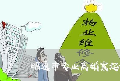 昭通市专业离婚案起诉律师