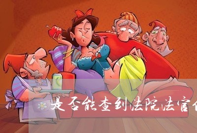 是否能查到法院法官信息