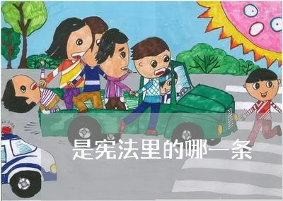 是宪法里的哪一条 是宪法里的哪一条