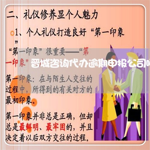 晋城咨询代办逾期申报公司哪家好
