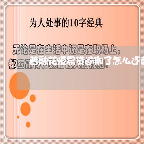 普融花恒易贷逾期了怎么还款/2023042238491