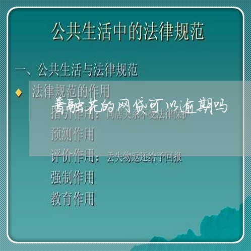 普融花的网贷可以逾期吗/2023120410380