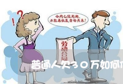 普通人欠30万如何偿还/2023012107481 普通人欠30万如何偿还/2023012107481