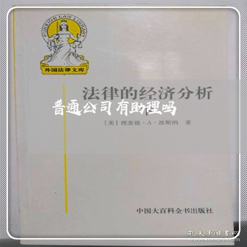 普通公司有助理吗