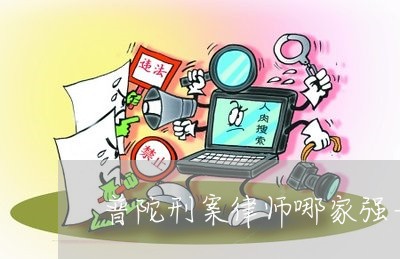 普陀刑案律师哪家强一点