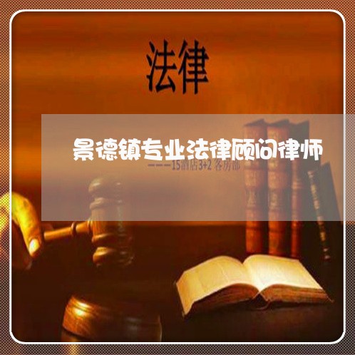 景德镇专业法律顾问律师/2023061904837