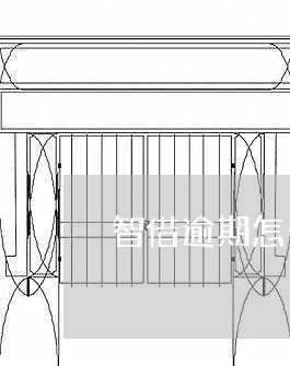 智借逾期怎么办信用卡分期/2023060501705