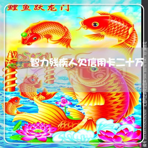 智力残疾人欠信用卡二十万 智力残疾人欠信用卡二十万