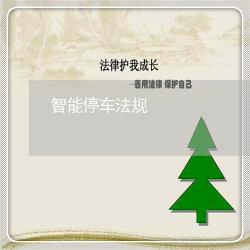 智能停车法规 智能停车法规