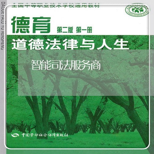 智能司法服务商