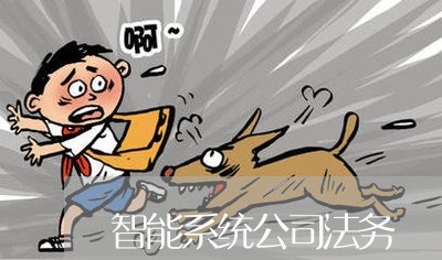 智能系统公司法务 智能系统公司法务