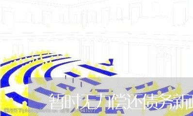 暂时无力偿还债务新政策/2023100873414