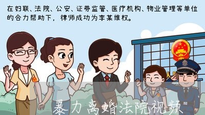 暴力离婚法院视频