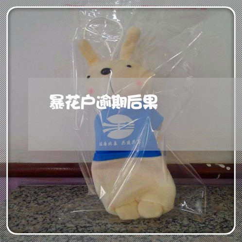 暴花户逾期后果