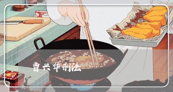 曹兴华刑法 曹兴华刑法