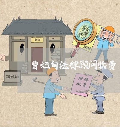 曹妃甸法律顾问收费/2023061796950