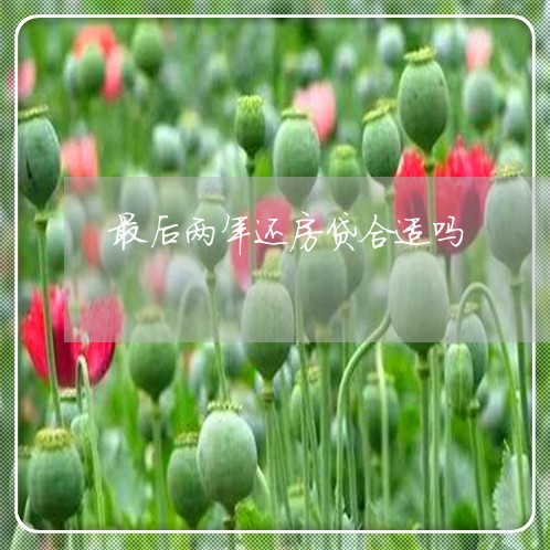 最后两年还房贷合适吗/2023041506149