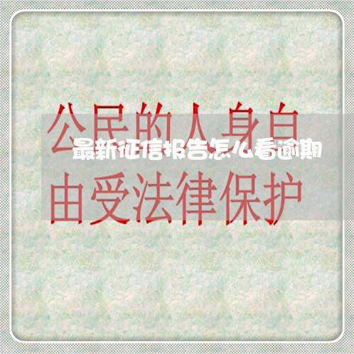 最新征信报告怎么看逾期