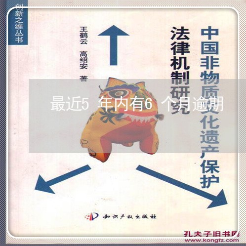 最近5年内有6个月逾期