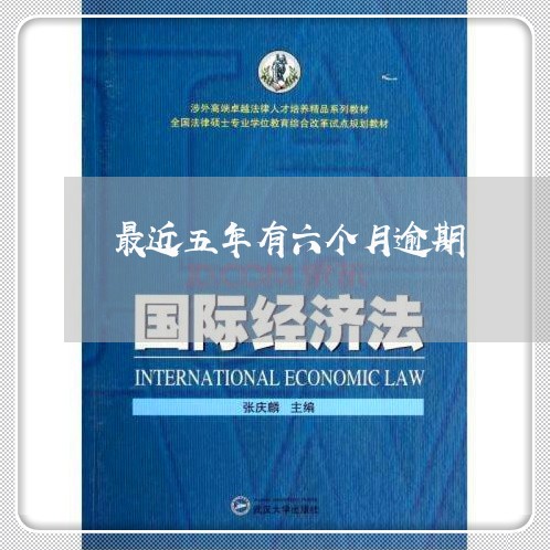 最近五年有六个月逾期