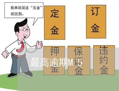最高逾期M5