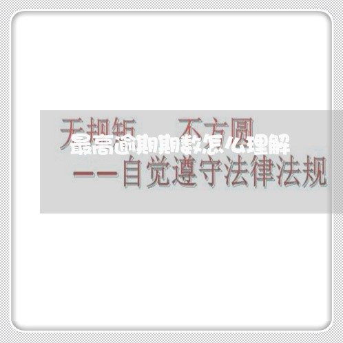 最高逾期期数怎么理解