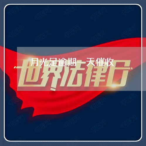 月光足逾期一天催收