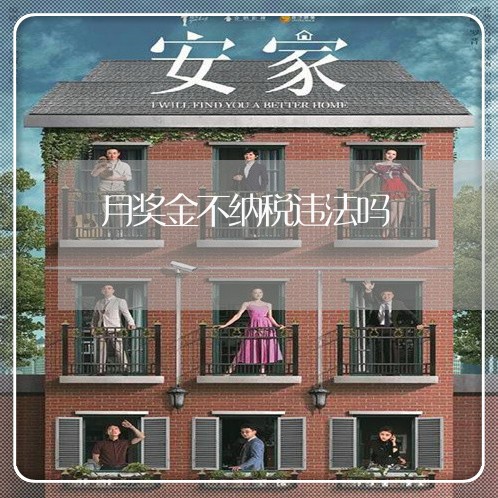 月奖金不纳税违法吗