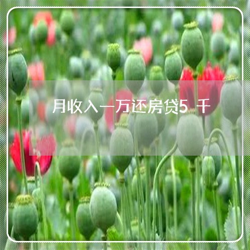 月收入一万还房贷5千/2023041537461