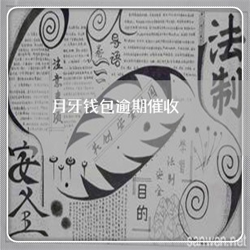 月牙钱包逾期催收