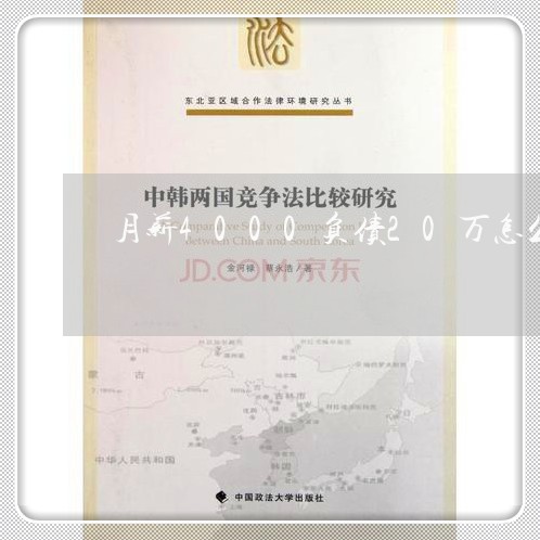 月薪4000负债20万怎么办呢/2023030161604 月薪4000负债20万怎么办呢/2023030161604