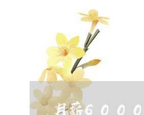 月薪6000怎么还20万的欠款/2023092946249