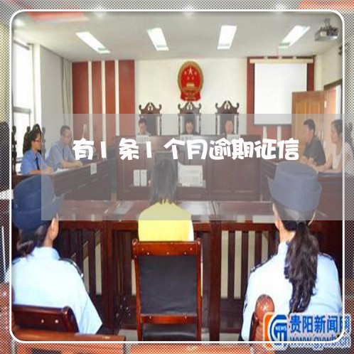 有1条1个月逾期征信 有1条1个月逾期征信