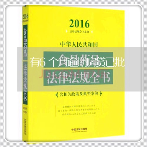 有6个月逾期房贷已批/2023041506194 有6个月逾期房贷已批/2023041506194