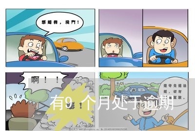有9个月处于逾期 有9个月处于逾期