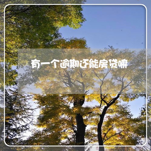有一个逾期还能房贷嘛/2023041569475 有一个逾期还能房贷嘛/2023041569475