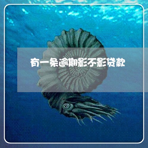有一条逾期影不影贷款 有一条逾期影不影贷款