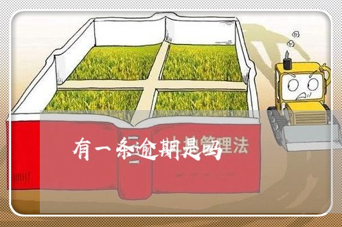 有一条逾期是吗
